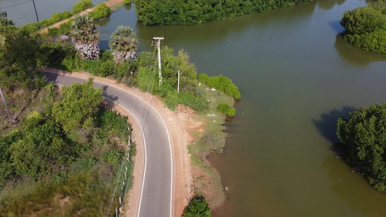 Aerial view of the road bending past the lagoon and mangroves