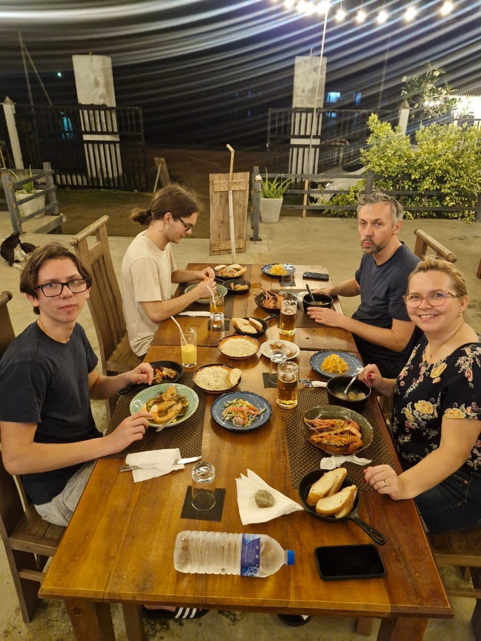 Family Four Outdoor Dinner String Lights
