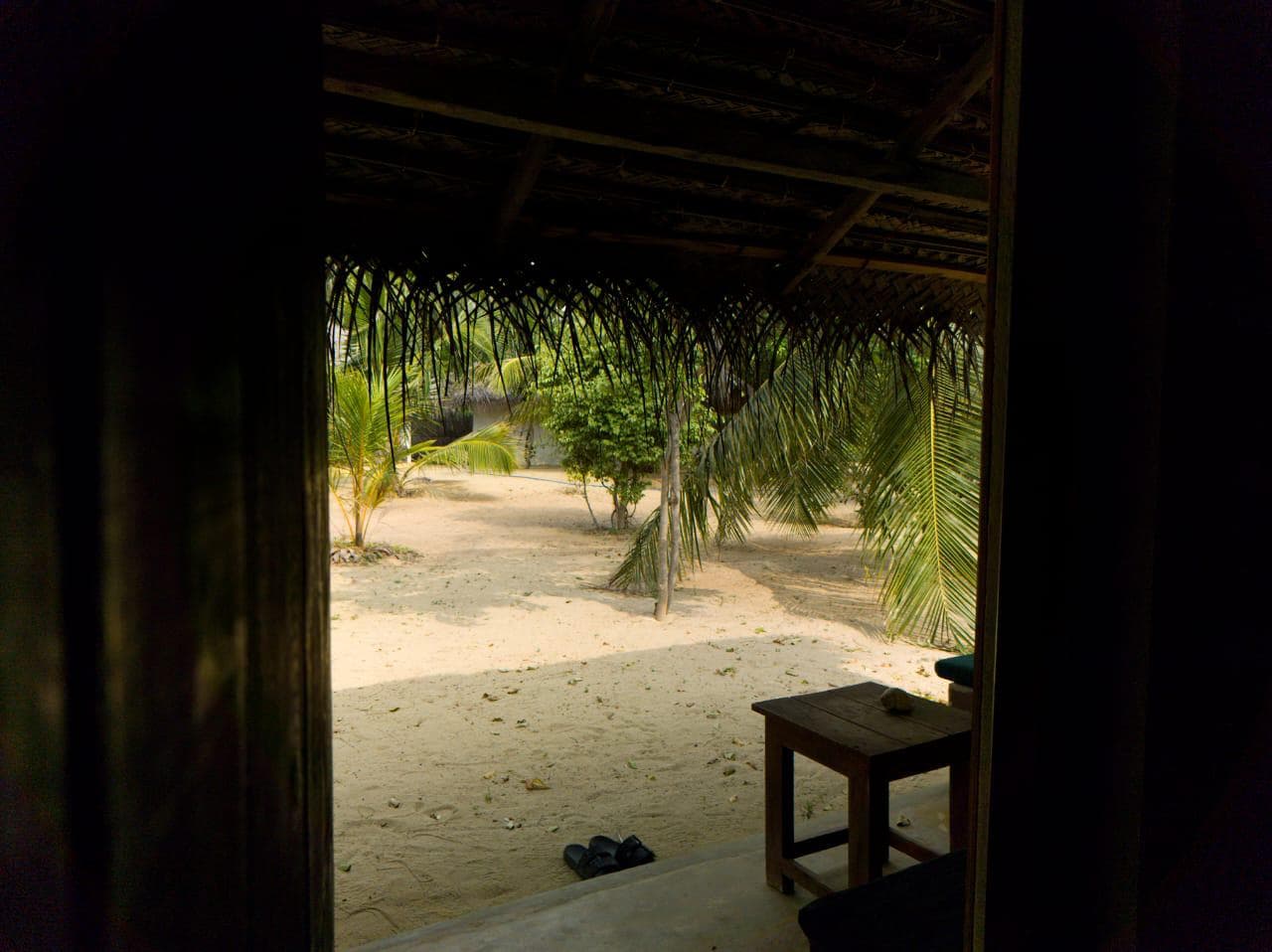 Porch View Sandy Grounds Palm Fronds