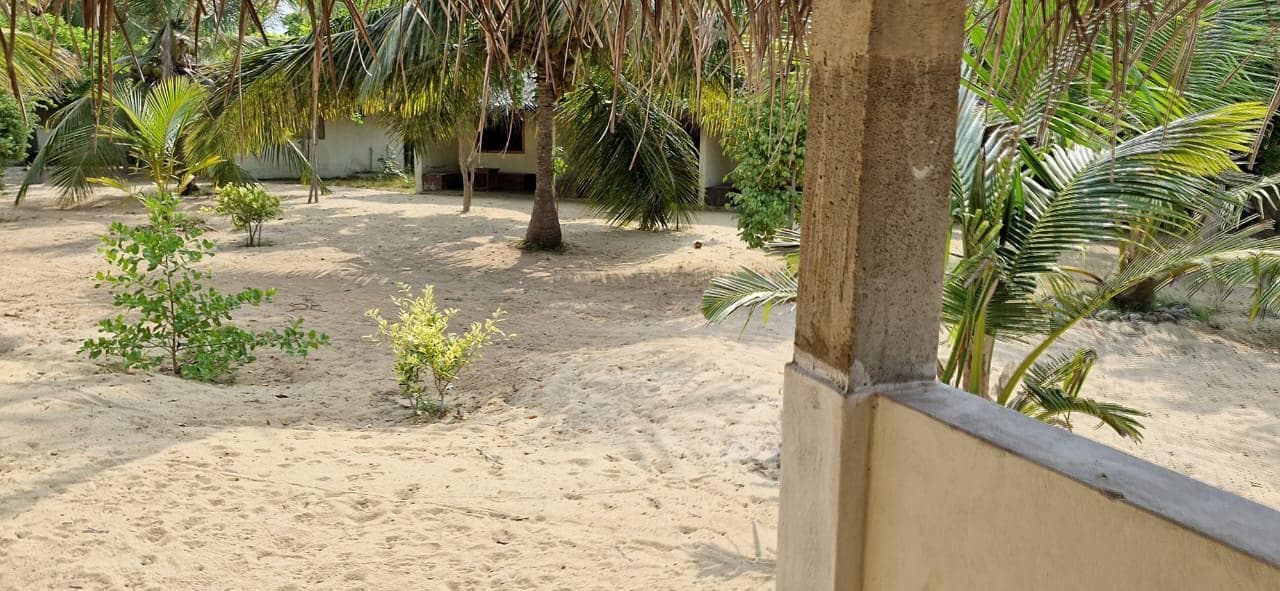 Sandy Grounds Palm Fronds Bungalow