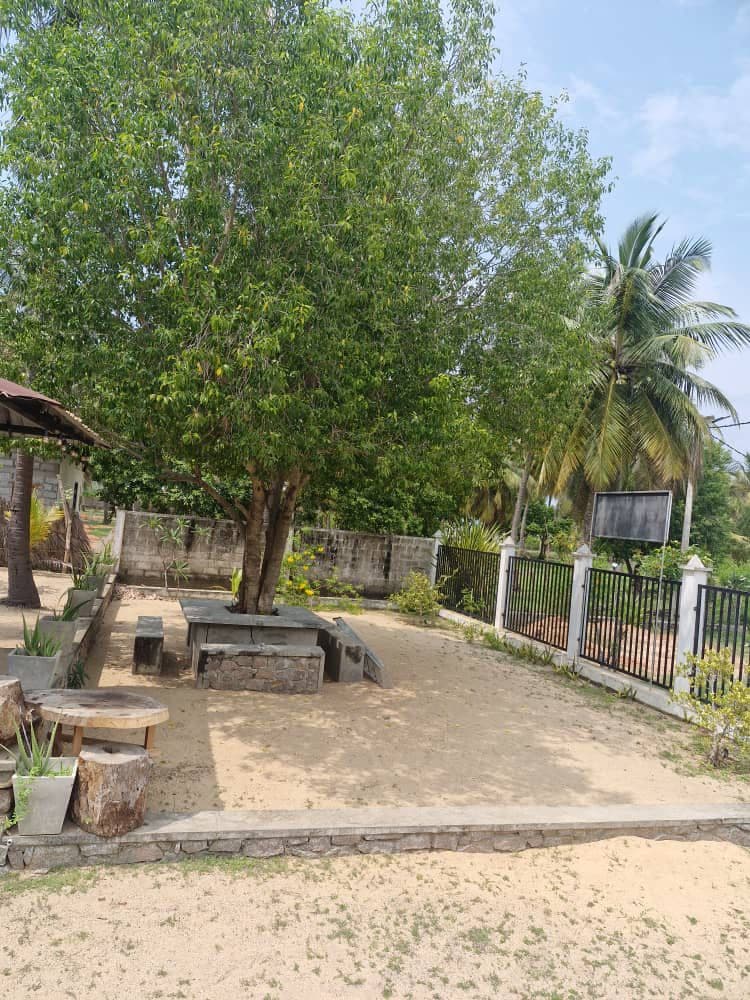 Shaded Seating Large Tree Stone Bench