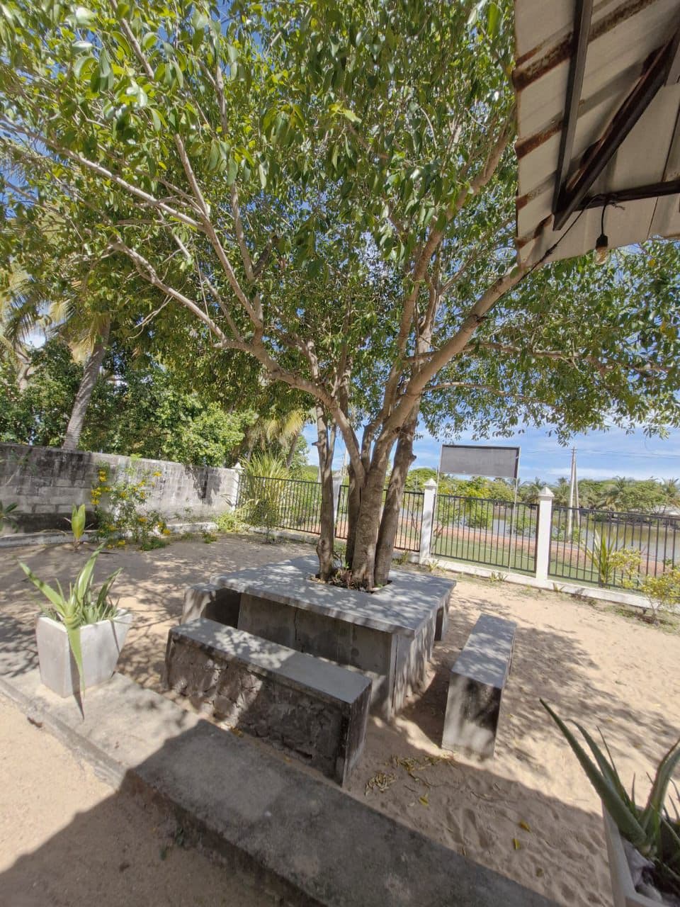 Stone Bench Shade Tree Lagoon View