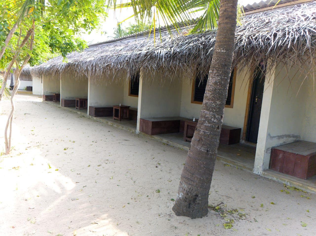 Thatched Bungalow Row Leaning Palm