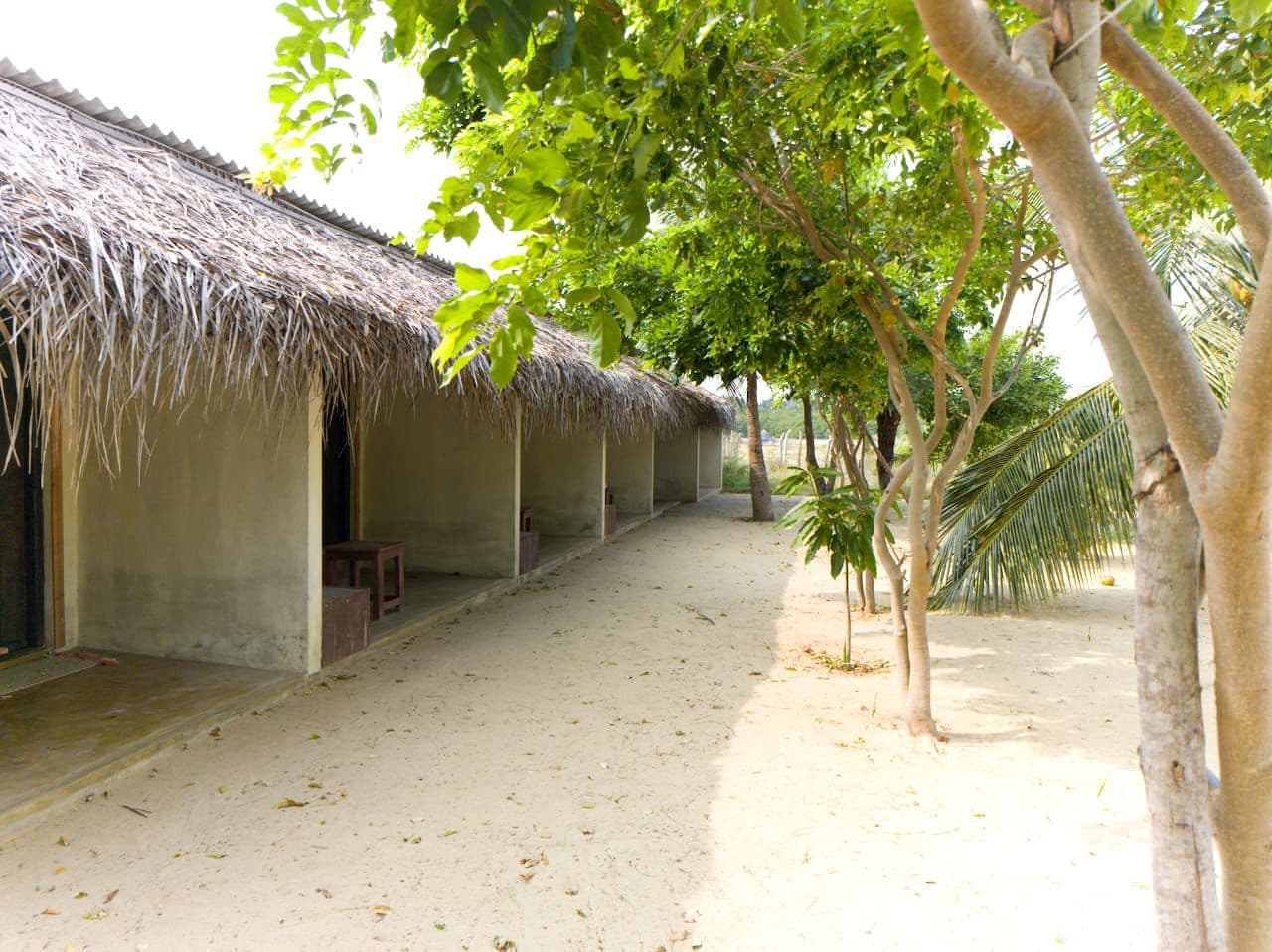 Thatched Bungalow Row Sandy Trees
