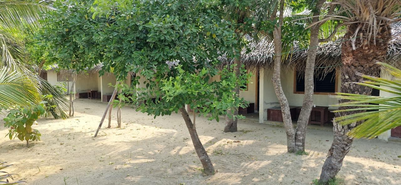 Thatched Bungalow Row Trees Sandy