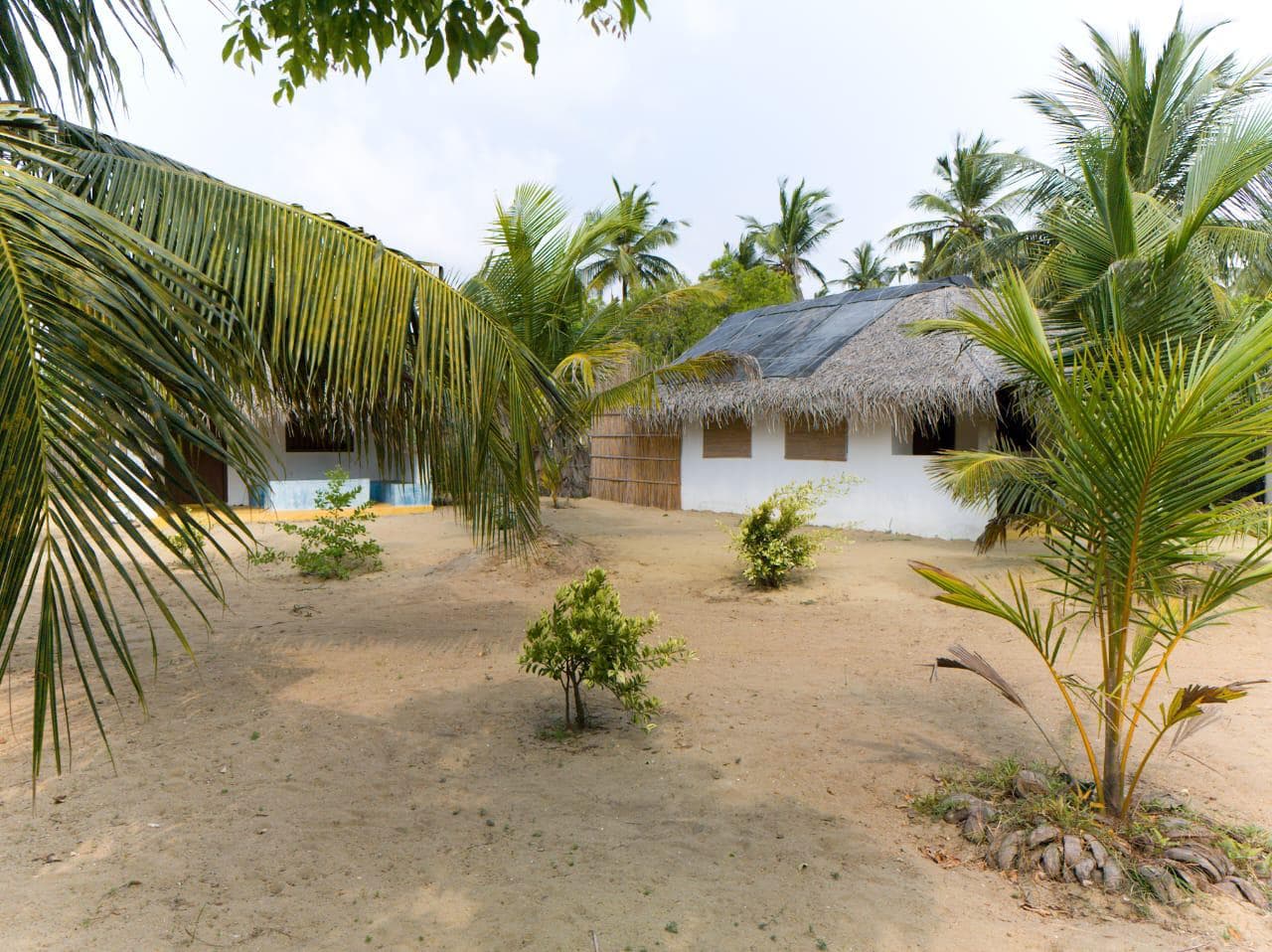 Thatched Bungalows Palm Fronds View