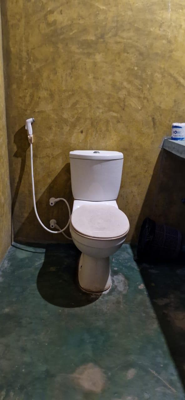 Toilet Bidet Yellow Wall