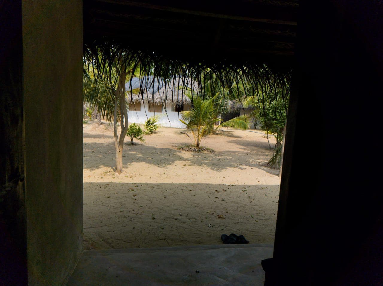 View from a bungalow over the sandy grounds